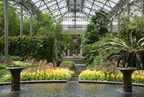 conservatory longwood gardens 26may18b