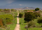 Morgantina/Casale