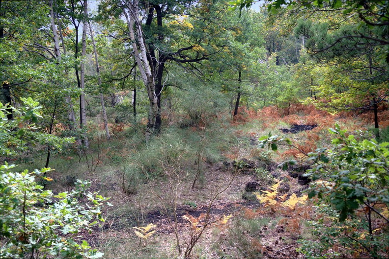 vicinity_grotto_della_neve_mt_etna_17oct17zac.jpg