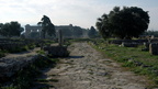paestum 19oct17zbc