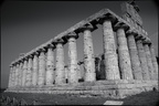 temple athena paestum 19oct17zhc