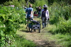 photographers kenilworth 14jul18