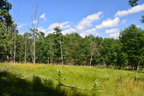 back forty farm 5jul18b