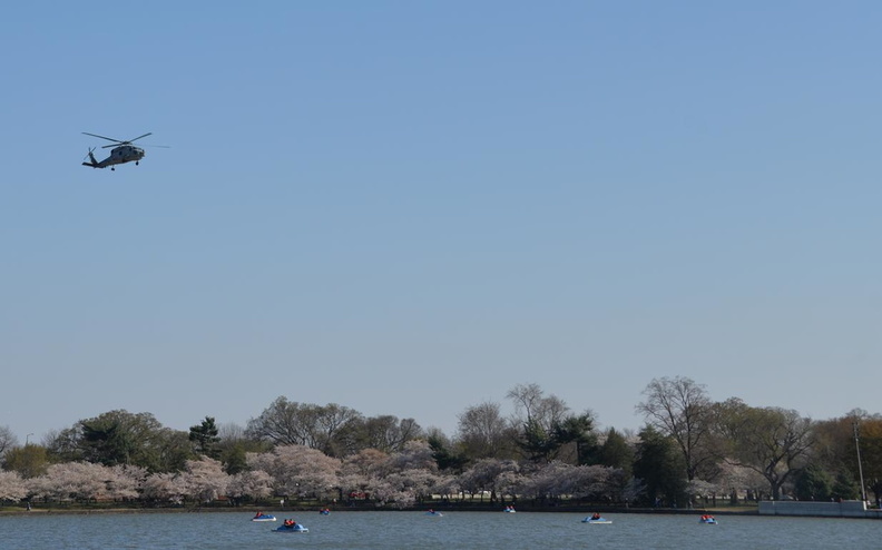tidal_basin_10apr18.jpg
