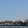 tidal basin 10apr18
