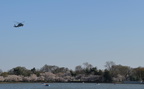 tidal basin 10apr18