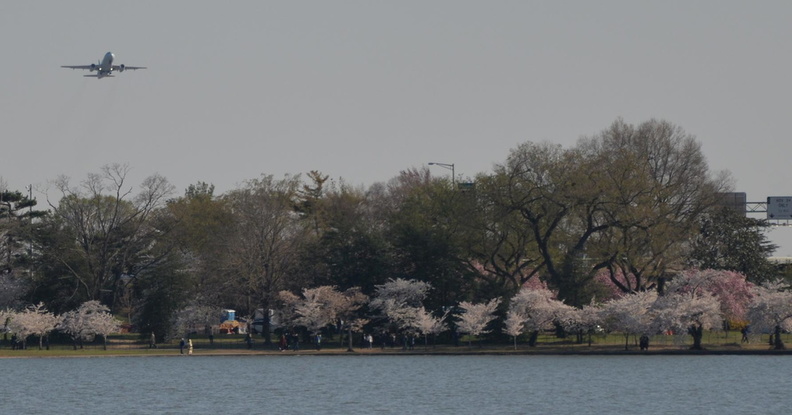 tidal_basin_10apr18b.jpg
