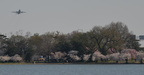 tidal basin 10apr18b