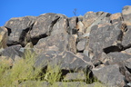petroglyphs graffiti saguaro np 28dec17c