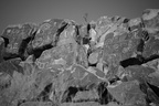 petroglyphs graffiti saguaro np 28dec17d