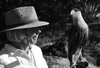 crested caracara desert museum 28dec17a