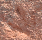 Southwest Desert