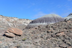 jasper forest trail petrified forest 27dec15h