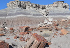 jasper forest trail petrified forest 27dec15j