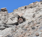 jasper forest trail petrified forest 27dec15l