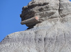 jasper forest trail petrified forest 27dec15m