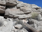 jasper forest trail petrified forest 27dec15n
