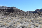 jasper forest trail petrified forest 27dec15o