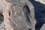 jasper forest trail petrified forest 27dec15r