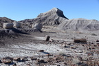jasper forest trail petrified forest 27dec15u