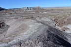 jasper forest trail petrified forest 27dec15w
