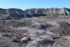 jasper forest trail petrified forest 27dec15x