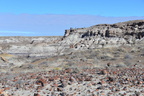 jasper forest trail petrified forest 27dec15y