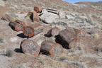 jasper forest trail petrified forest 27dec15z