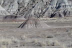 petroglyph trail 28dec15a
