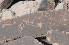 petroglyphs petroglyph trail 28dec15c