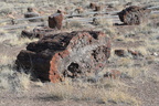 painted desert museum 28dec15a