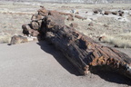 painted desert museum 28dec15d