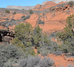 snow canyon 31dec15h