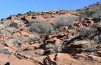 snow canyon 31dec15k