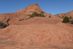 fossil sand dune snow canyon 31dec15