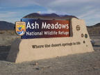 ash meadows2