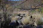 sabino canyon 30dec17c