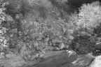 sabino canyon 30dec17e