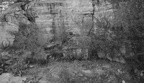 sabino canyon 30dec17f