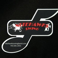 nitehawks emblem 5oct18zac