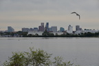 Baltimore