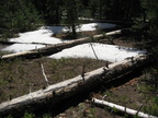 snow scott lake