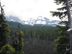 three sisters dee wright