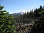 view from trail dee wright