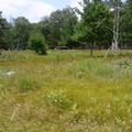 farm 7jul15a