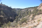 gila national forest 18dec18m