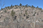 gila national forest 18dec18x