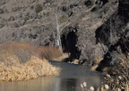gila national forest 18dec18hh