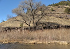 gila national forest 18dec18ii