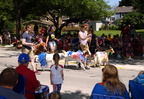 parade greendale 4jul19zgc